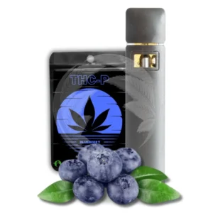 THC P 10 vape